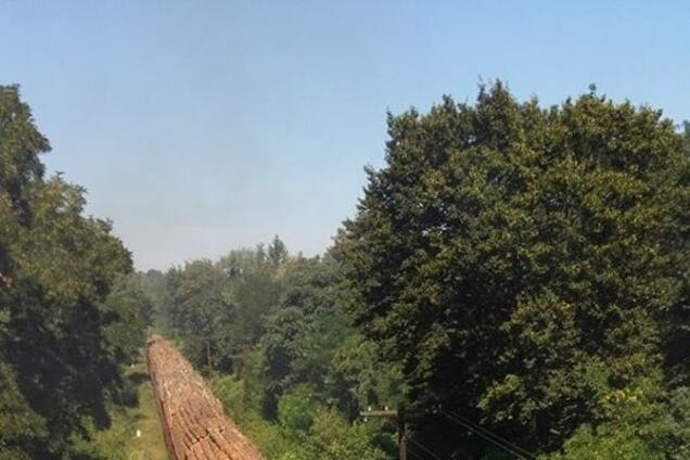 Вырубка леса