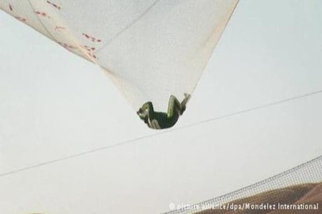 Американець здійснив унікальний стрибок з висоти 7600 метрів без парашута