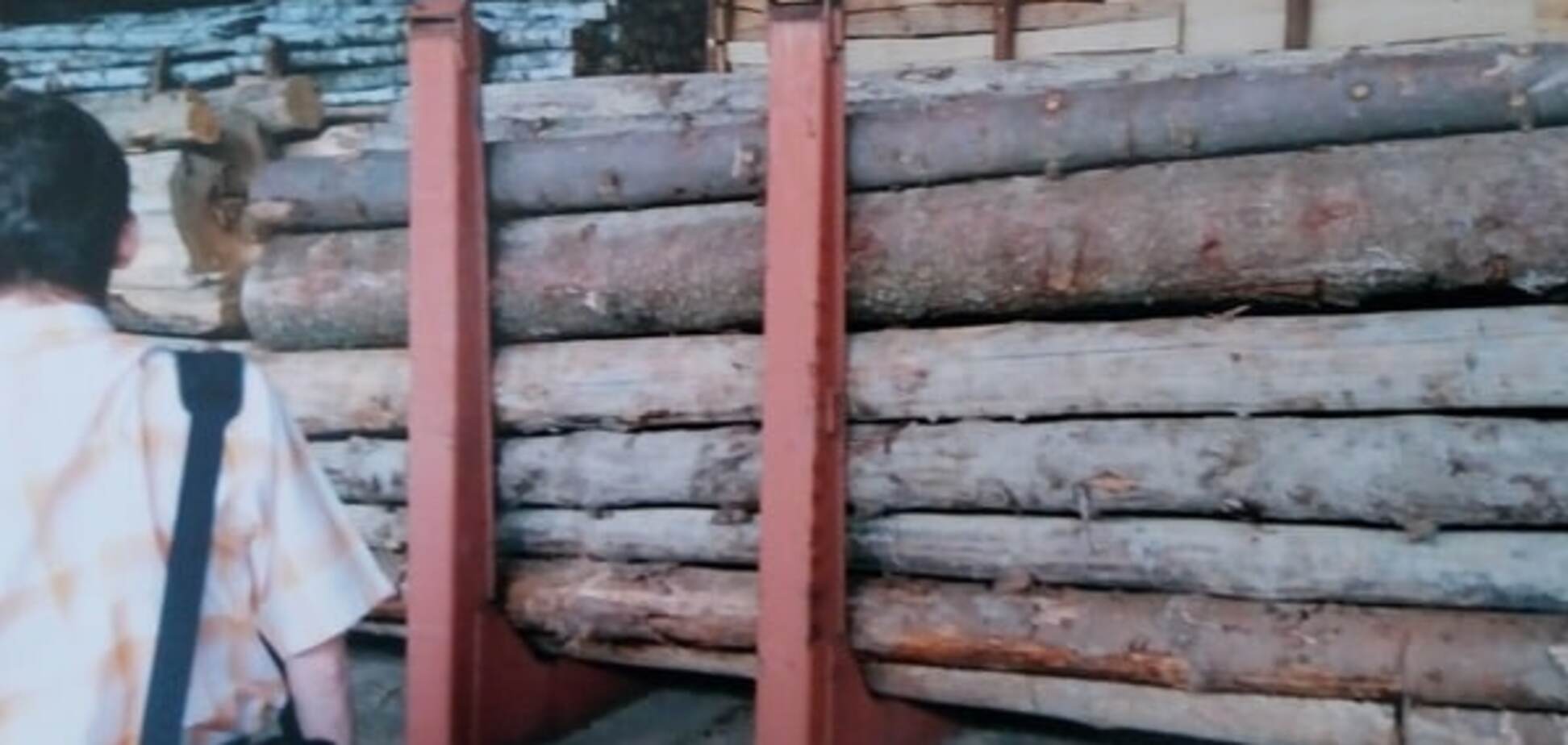 Задержанная на Закарпатье древесина