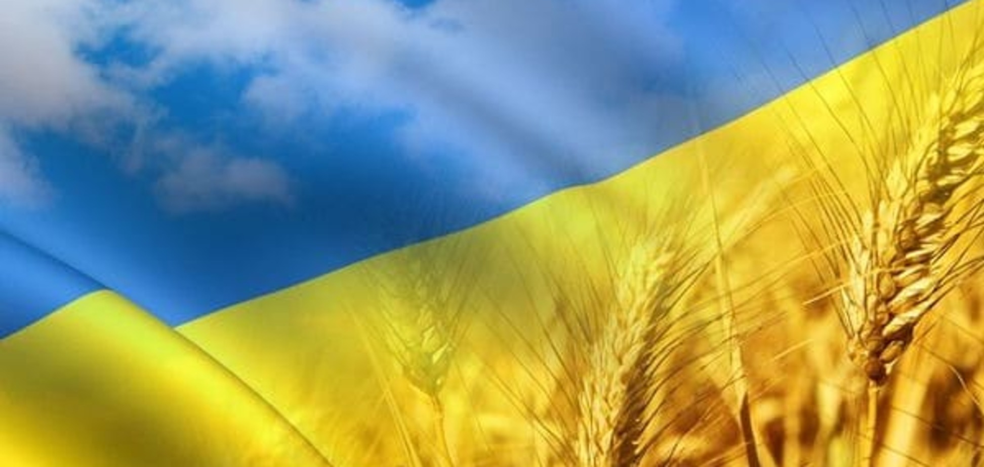 Как дальше жить в этой стране?