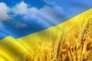 Как дальше жить в этой стране?