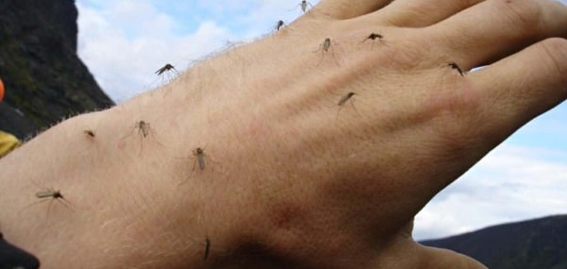 Почему вас 'любят' комары: топ-3 причины