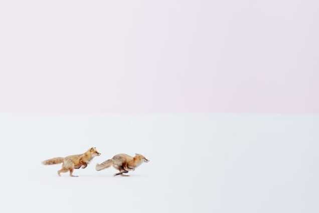 Первое место в категории «Природа»