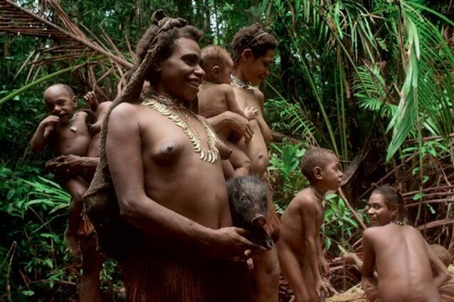 Чем выше, тем важнее: как живут на деревьях в Новой Гвинее папуасы-короваи