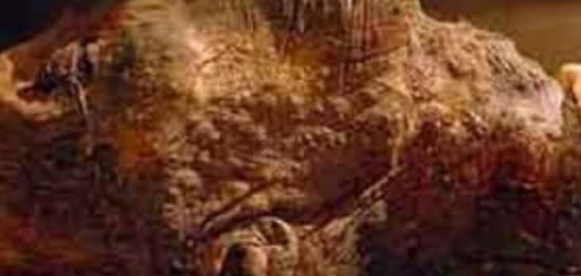 На Ямале обнаружены новые захоронения с мумиями