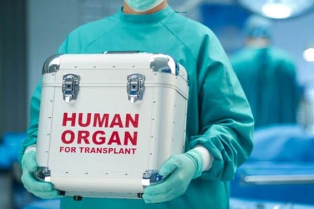 Трансплантация