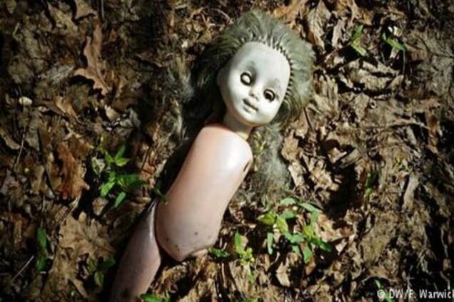 Чорнобильську зону перетворили на заповідник