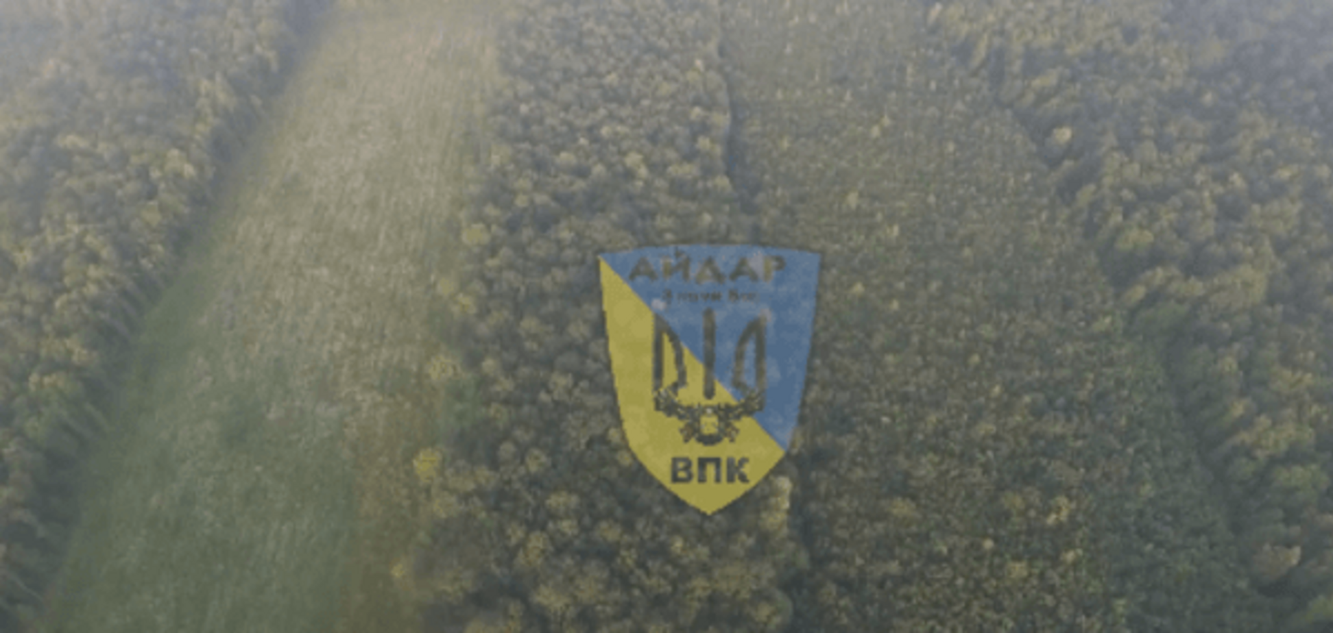 Вырубка леса в Украине