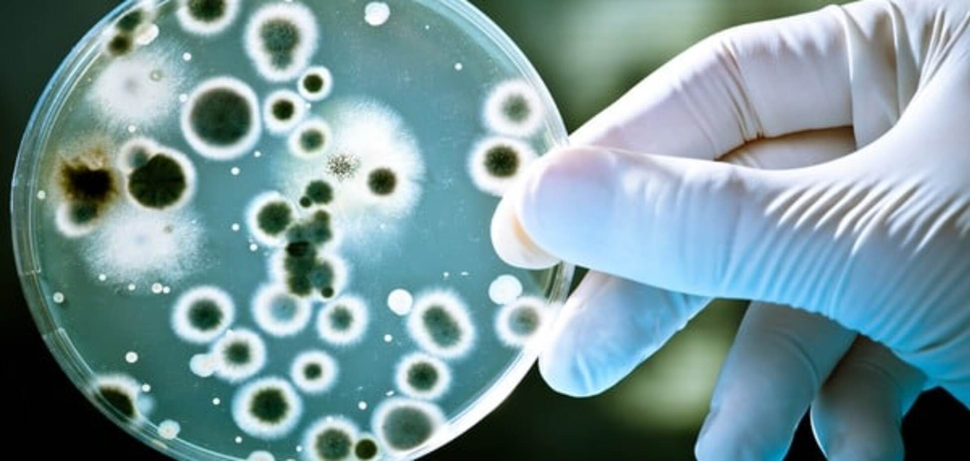Создана ультратонкая повязка, уничтожающая все известные болезнетворные бактерии