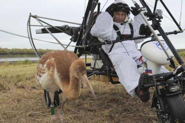 Путинская осень. Что бы еще отмочить?