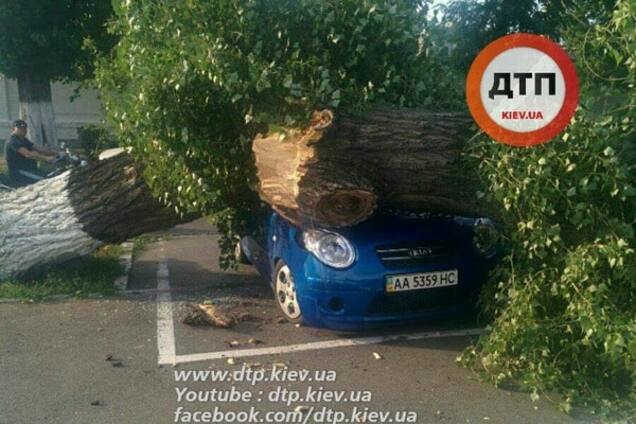 Дерево упало на авто