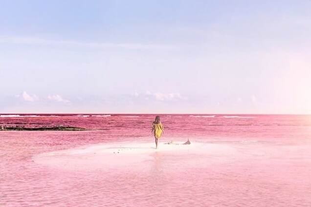 Рожева лагуна в Мексиці