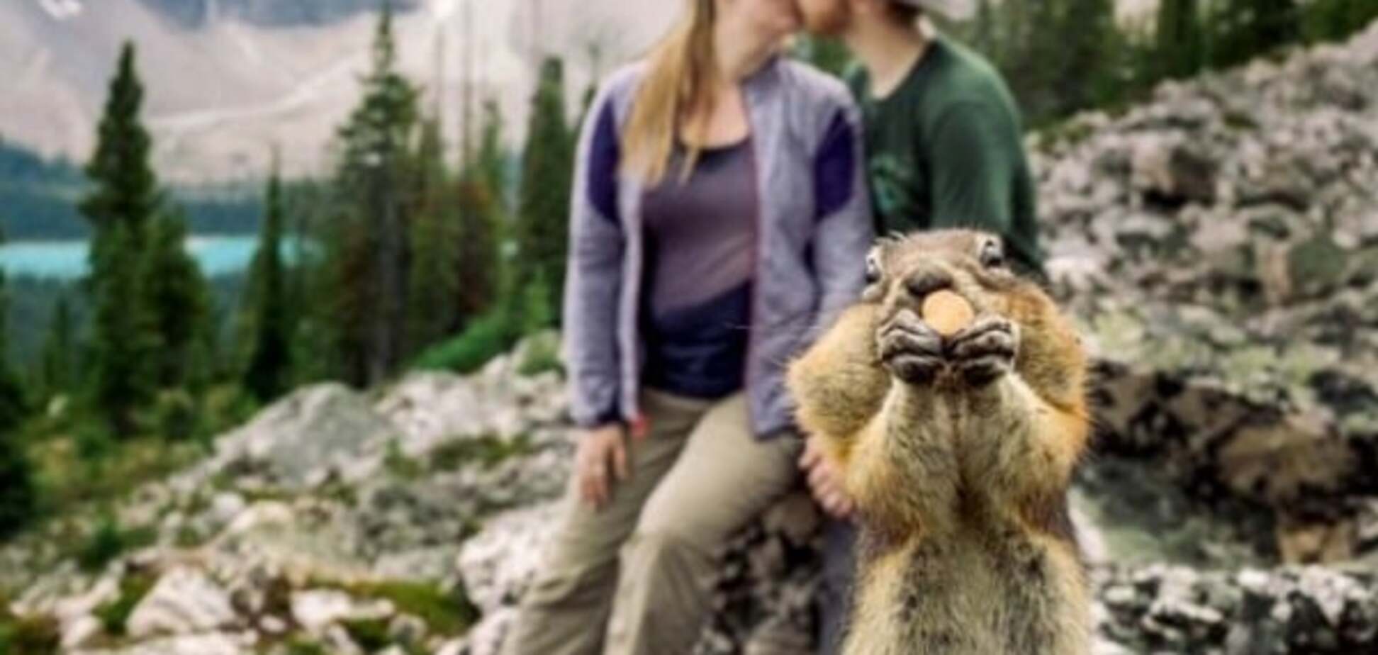 суслик в Канаде