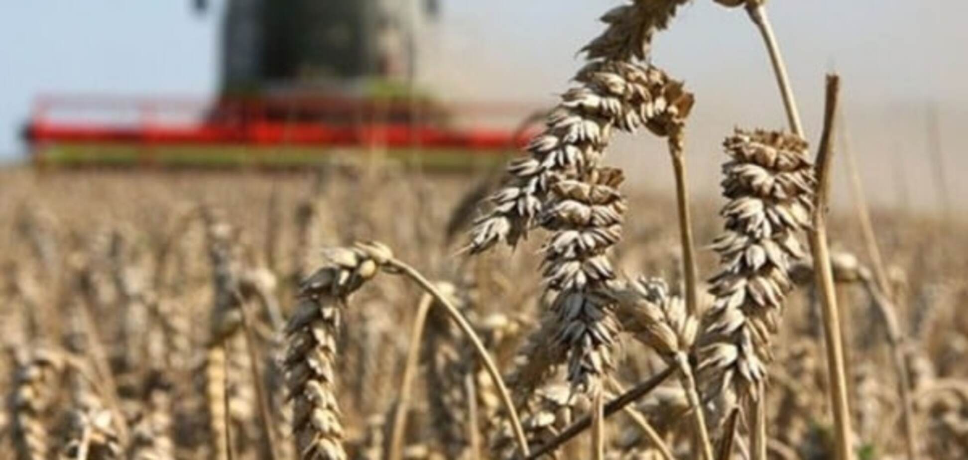 Украинские аграрии протребовали провести антимонопольное расследование на рынке удобрений