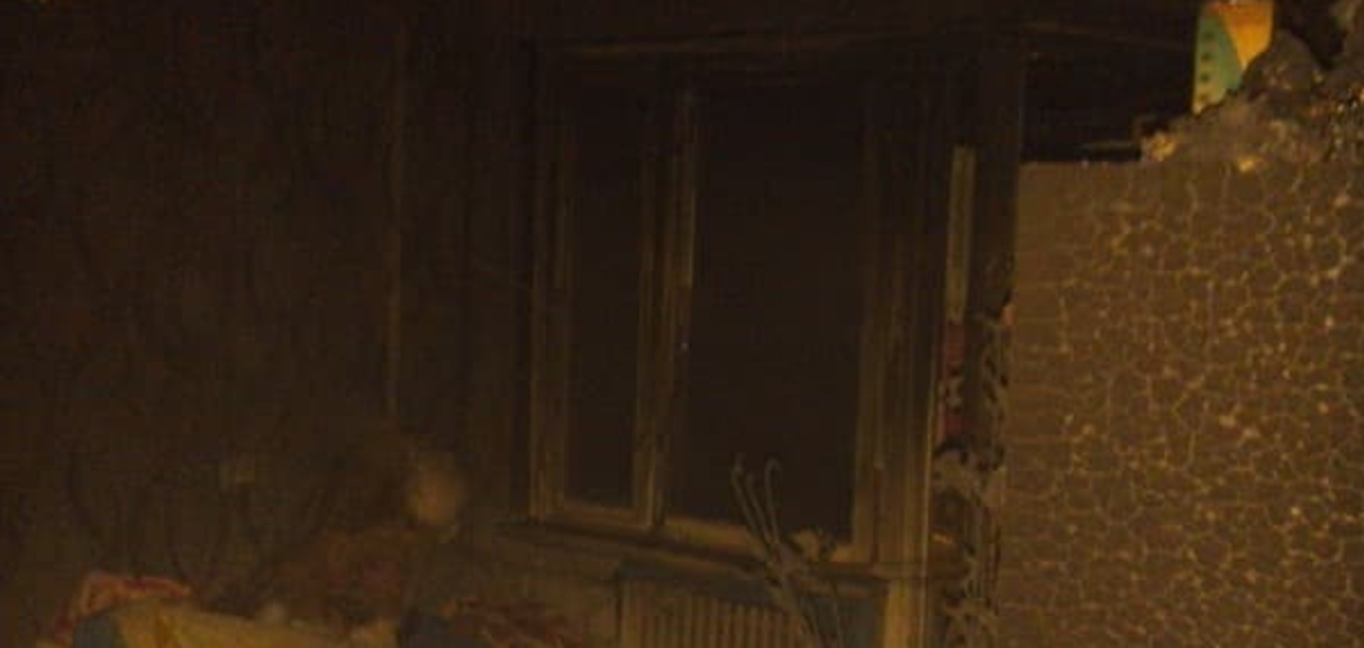 Пожар под Киевом