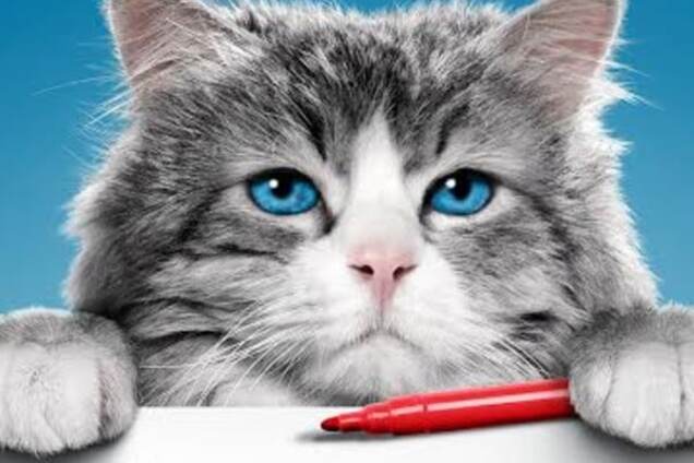 Фильм Девять жизней