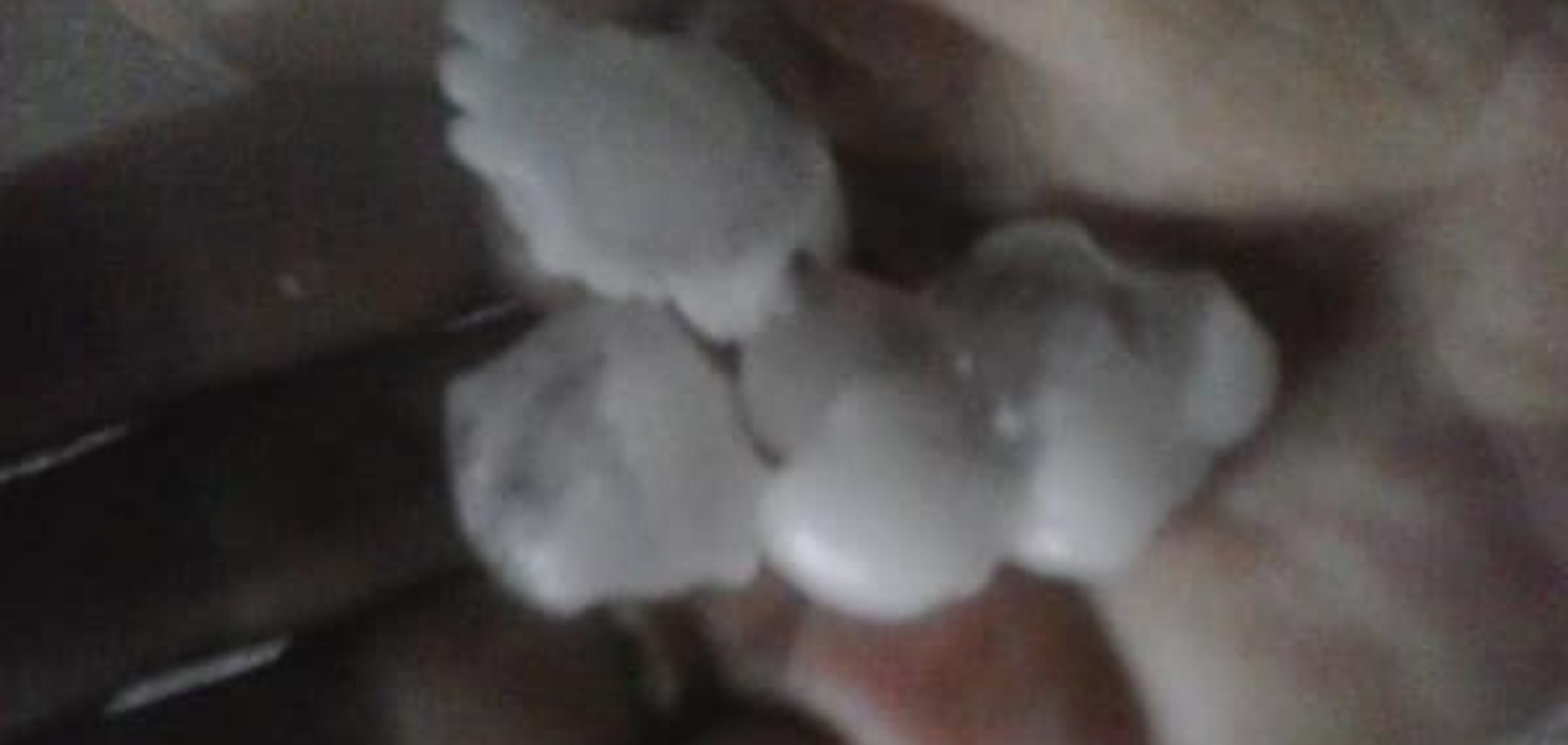 Непогода в Черкассах