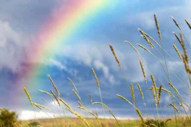 Прогноз погоды