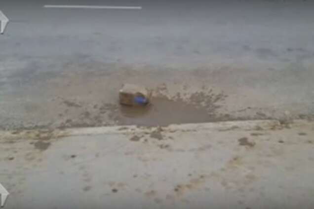 Латынину облили фекалиями