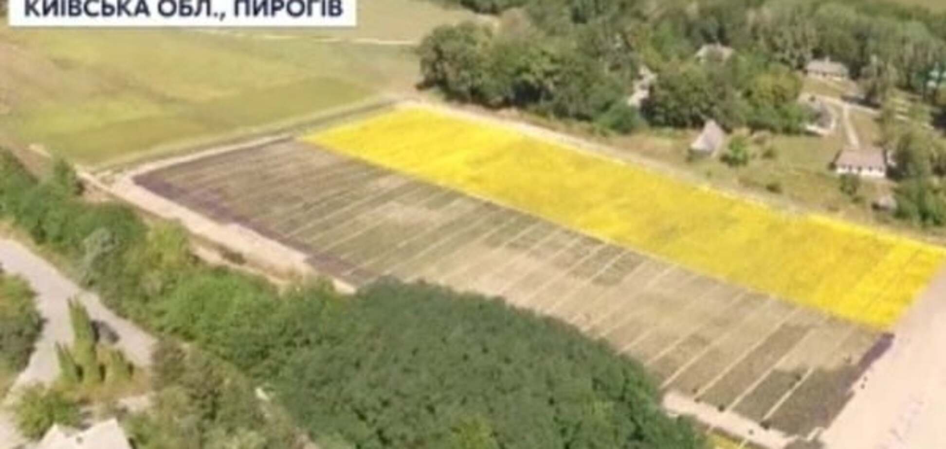 флаг Украины