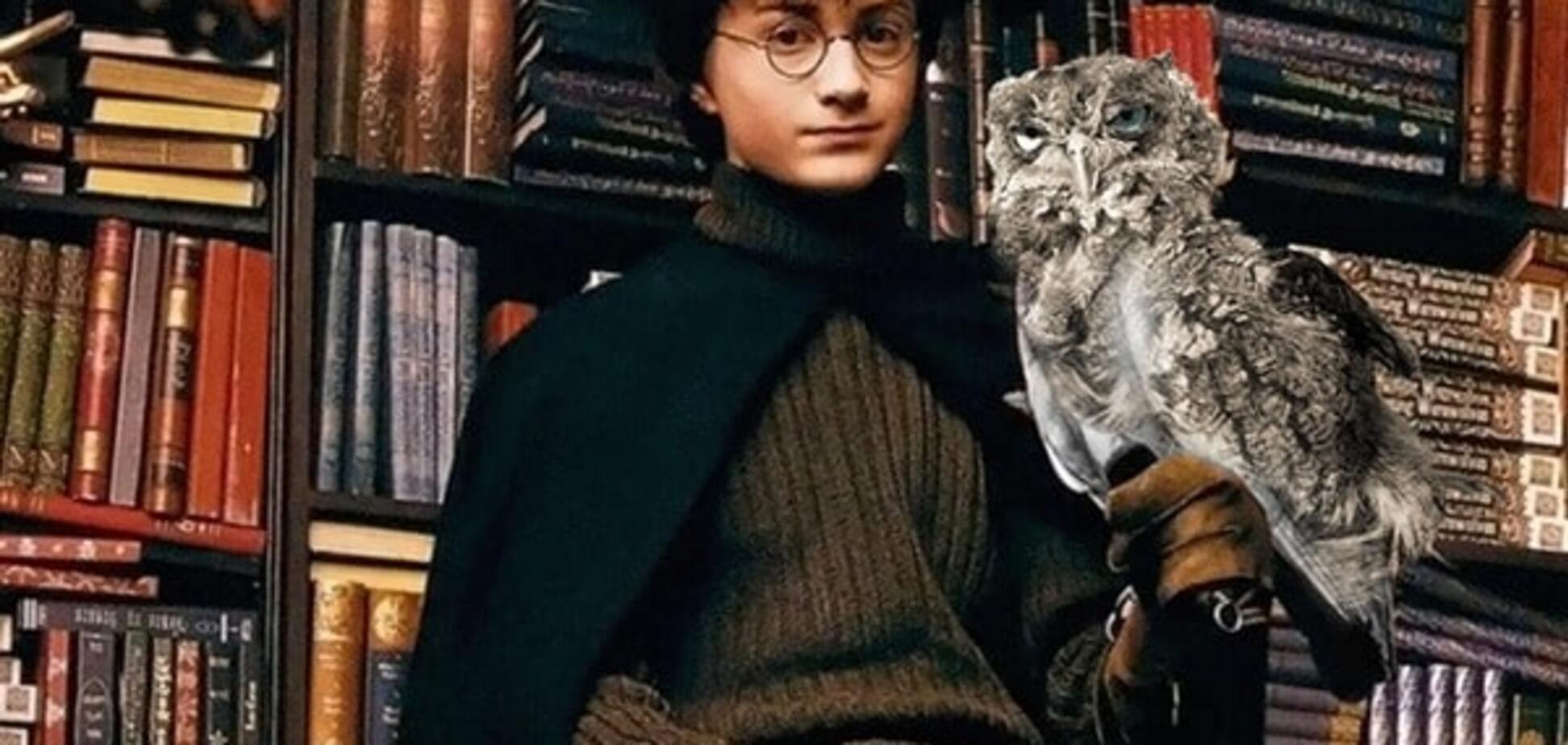 Гарри Поттер с совой