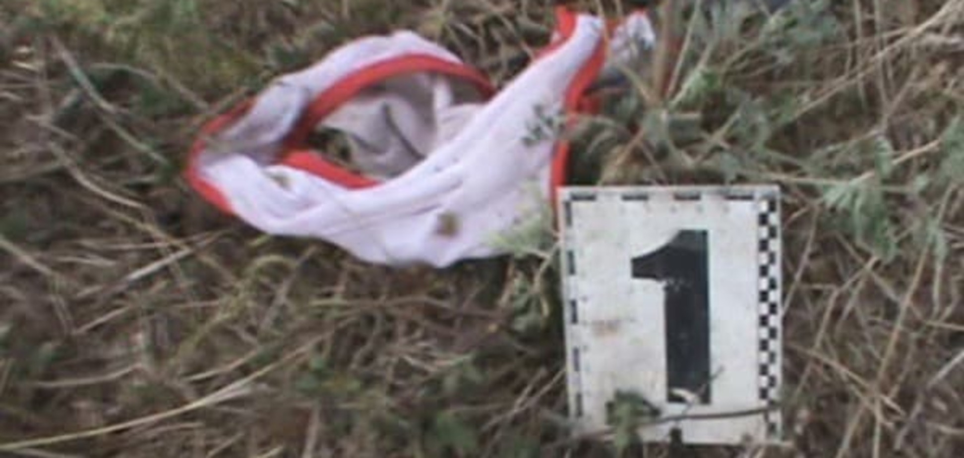 Убийство в Лощиновке