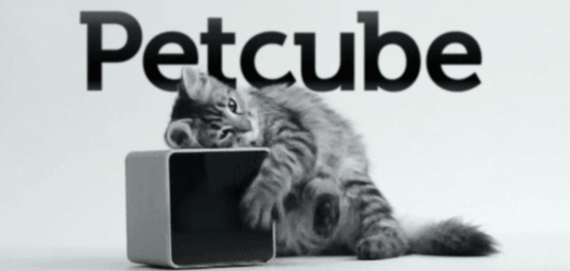 Petcube