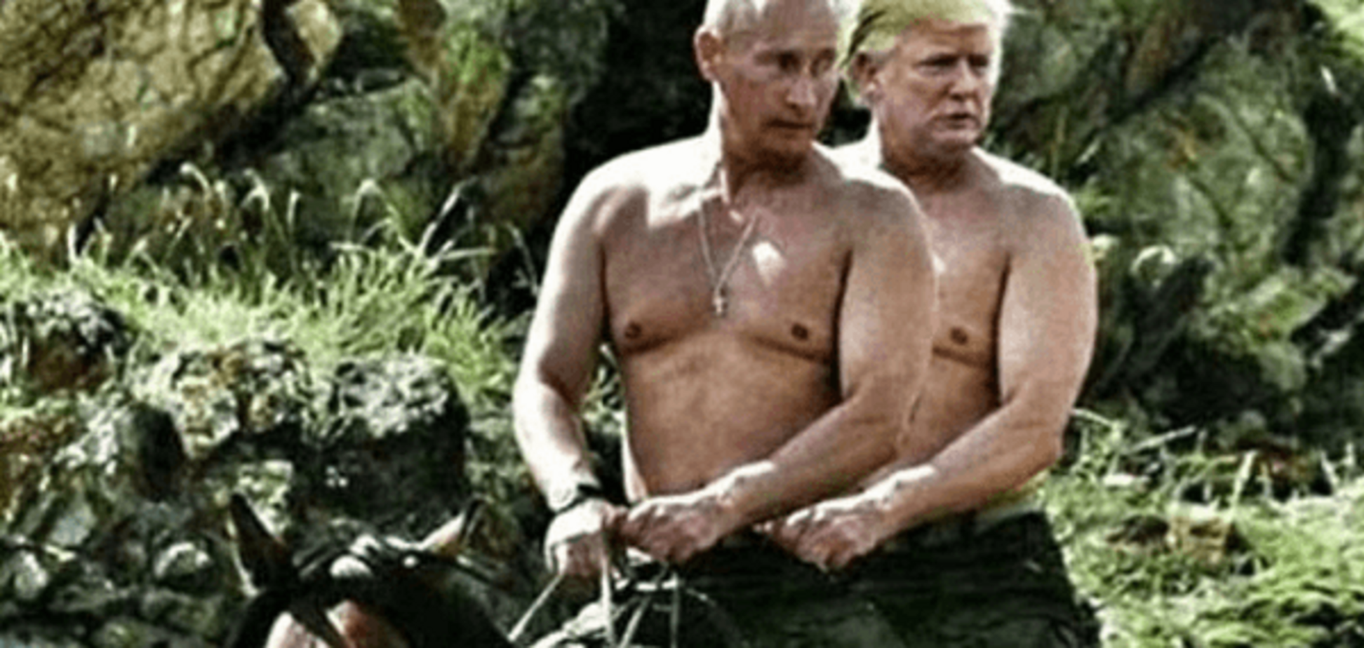 Владимир Путин, Дональд Трамп