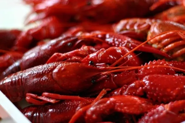 раки