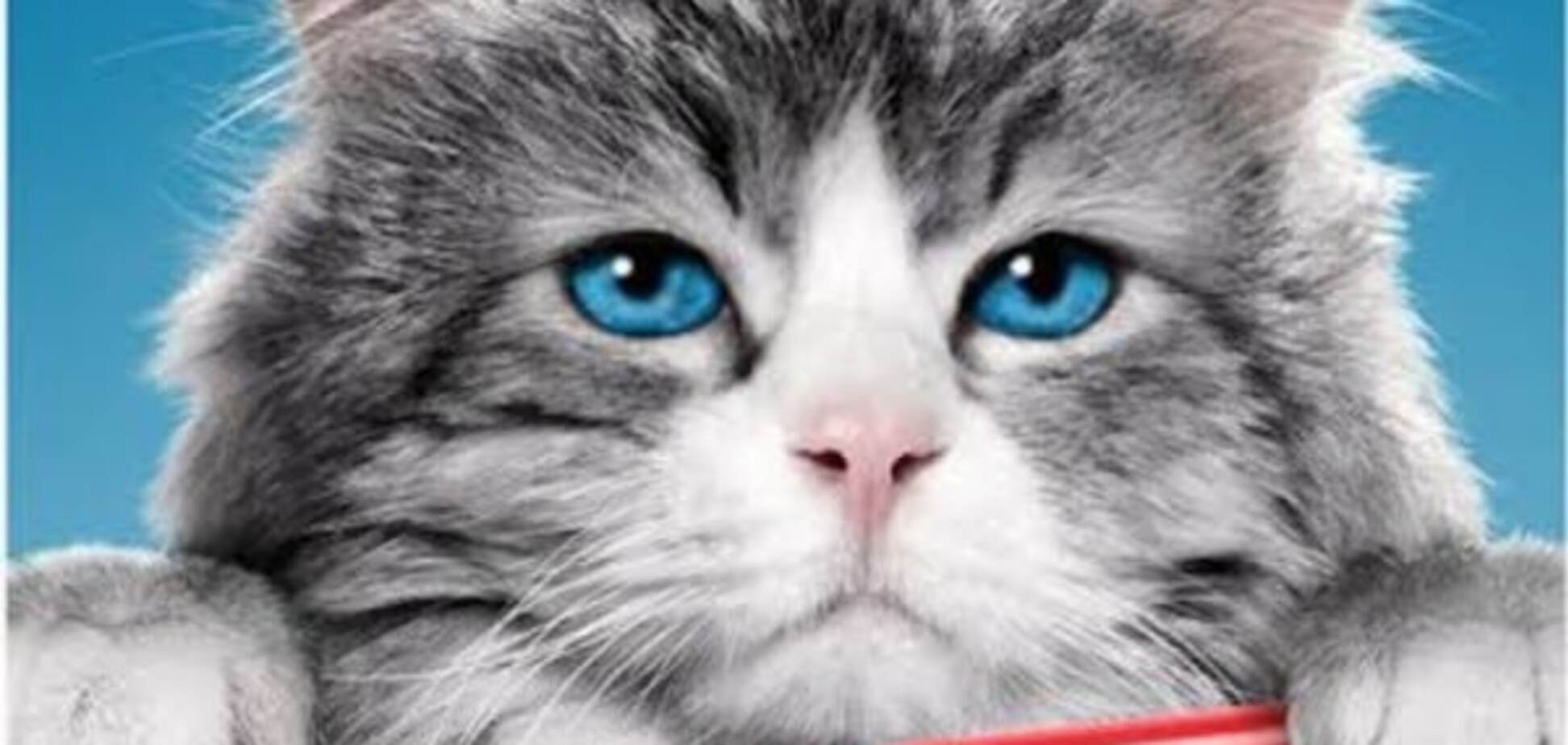 1 сентября состоится семейный праздник и просмотр комедийного фильма 'Девять жизней'!