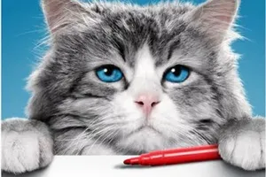 1 сентября состоится семейный праздник и просмотр комедийного фильма "Девять жизней"!