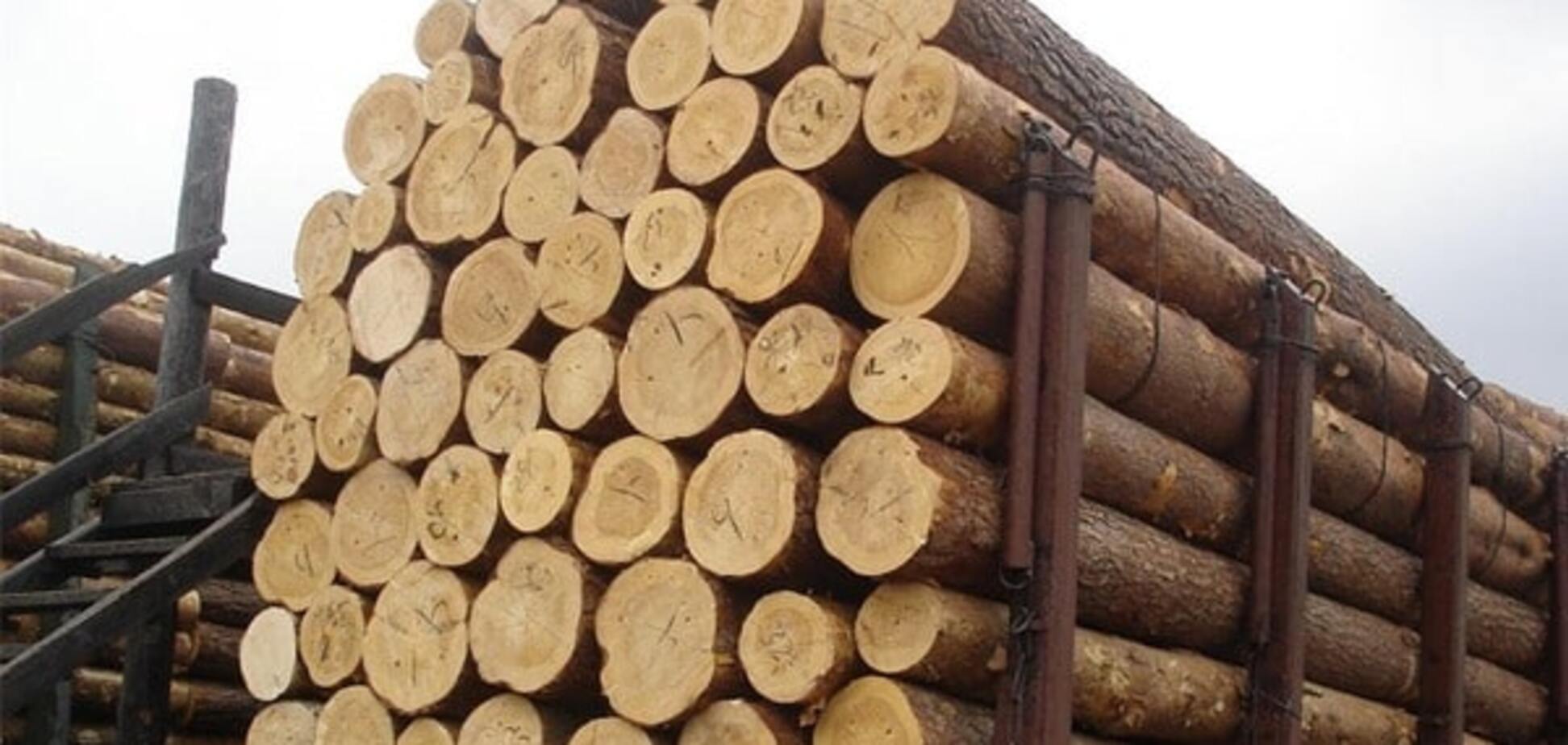 Не дамо владі 'продати' інтереси деревообробників