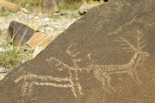 Китайские археологи нашли около тысячи наскальных рисунков