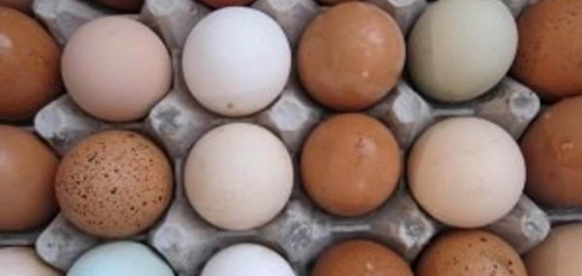 Ukrlandfarming Олега Бахматюка расширяет экспортные рынки яичной продукции