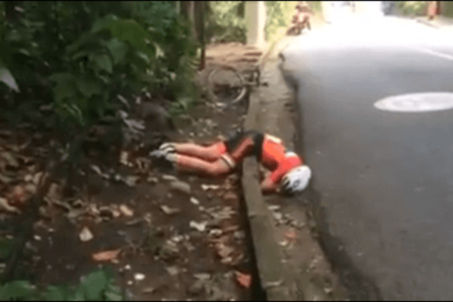 Аннемик ван Влюте