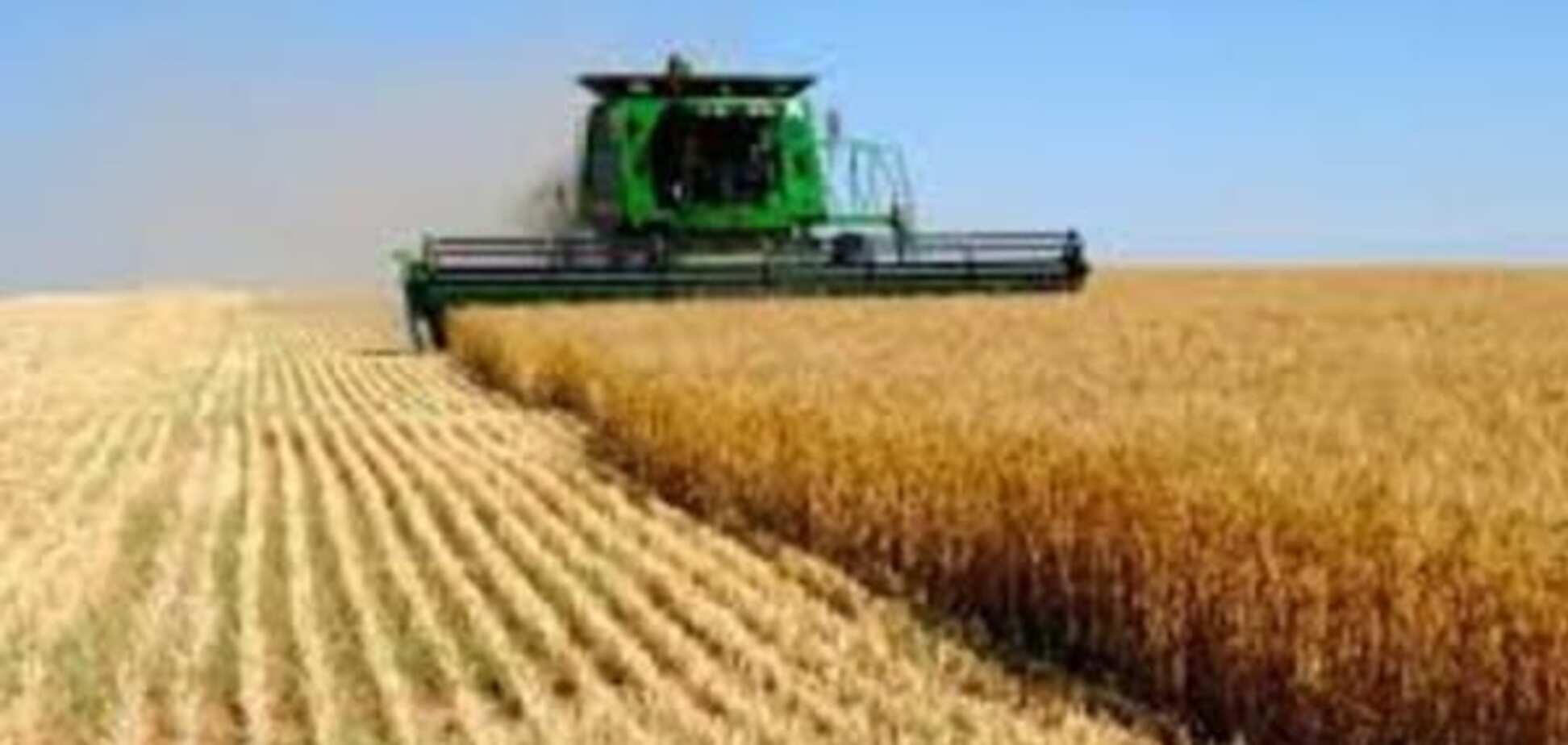 Рост акций KSG Agro -свидетельство успешной стратегии развития холдинга, - эксперт