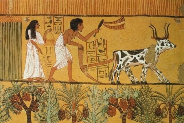 Топ-10 актуальных сегодня изобретений Древнего Египта