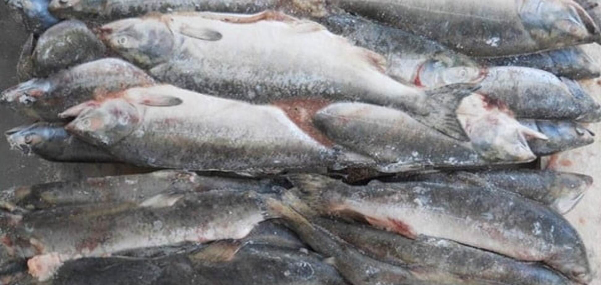 мороженая рыба