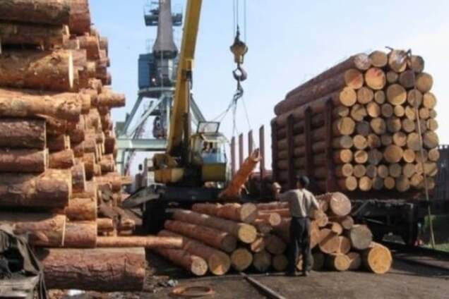 Чи є альтернатива мораторію на експорт лісу?