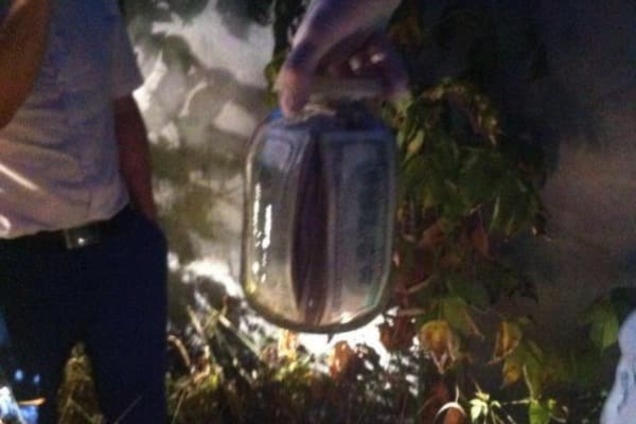 Николай Чаус