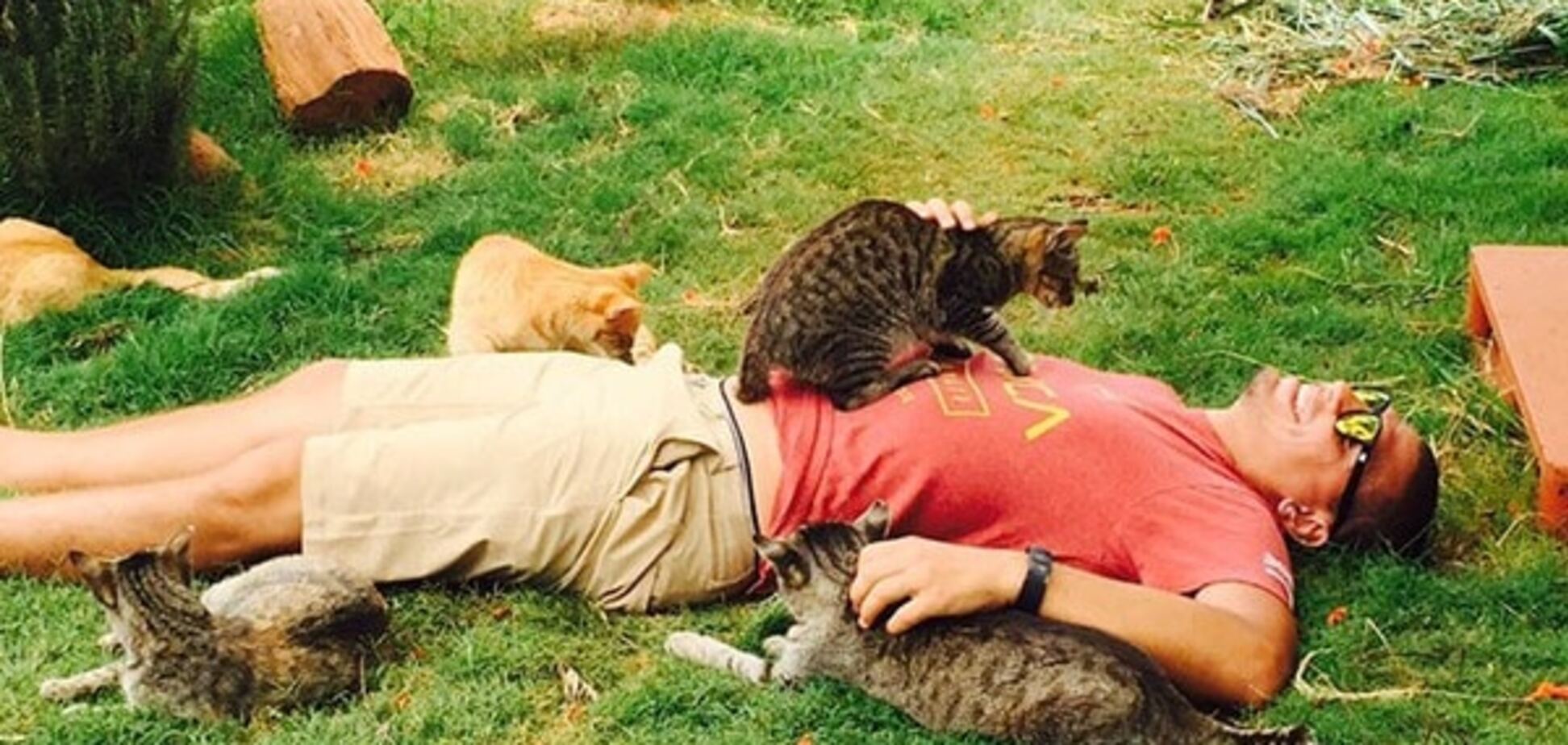 Кошачий заповедник