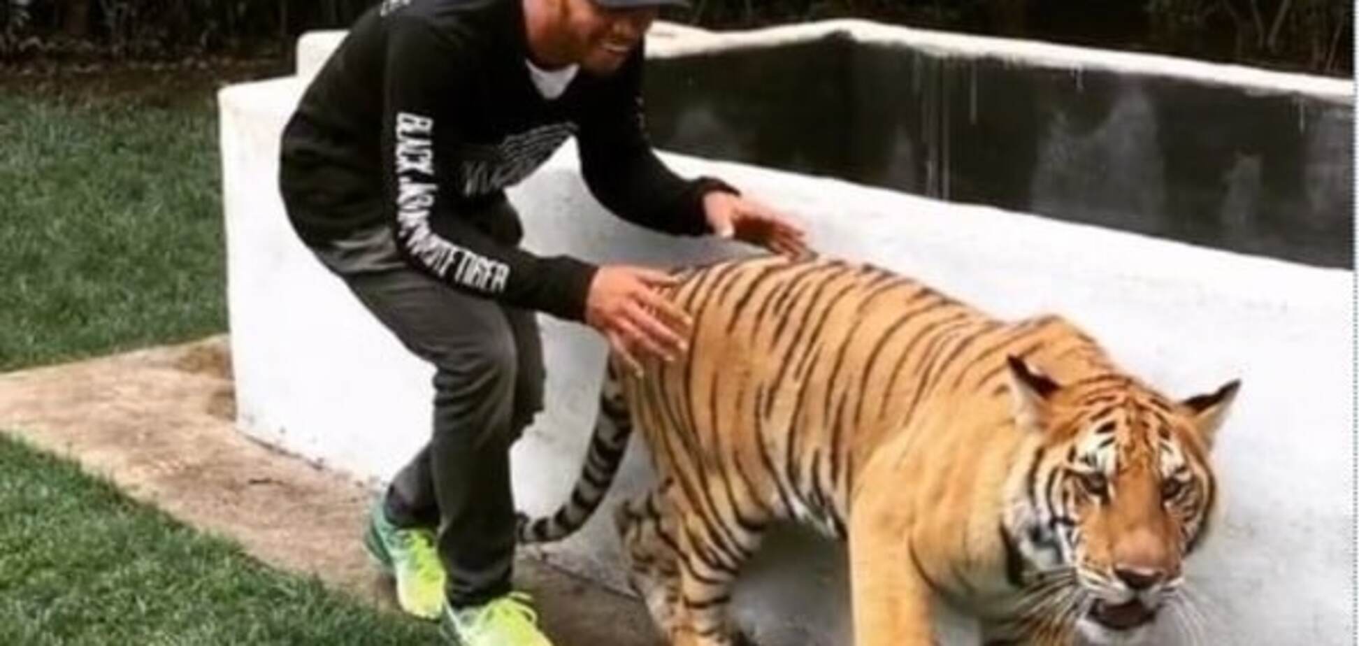 Видео, как чемпион мира Формулы-1 напугал до смерти тигрицу, собрало за сутки полмиллиона просмотров
