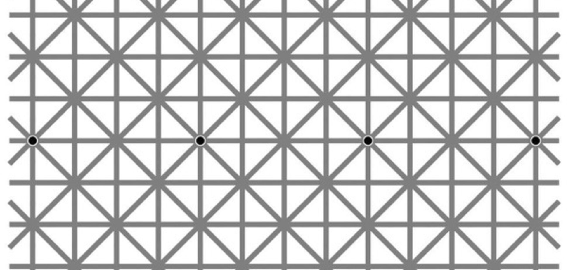 Попробуй рассмотри: оптическая иллюзия с точками стала вирусной в сети