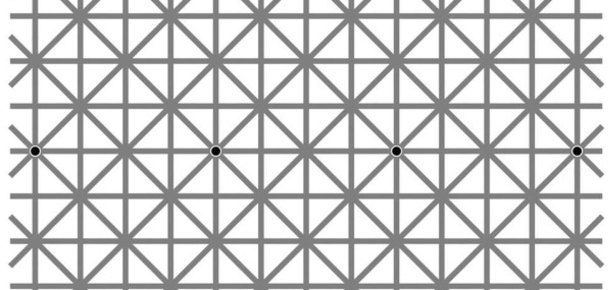 Попробуй рассмотри: оптическая иллюзия с точками стала вирусной в сети