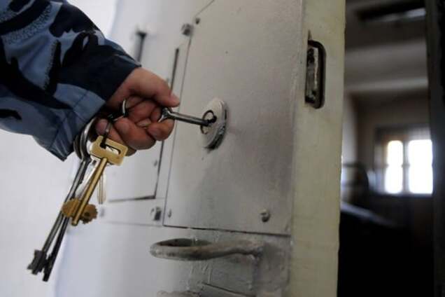 Не зовсім логічно: автор 'закону Савченко' розповів про необхідні поправки