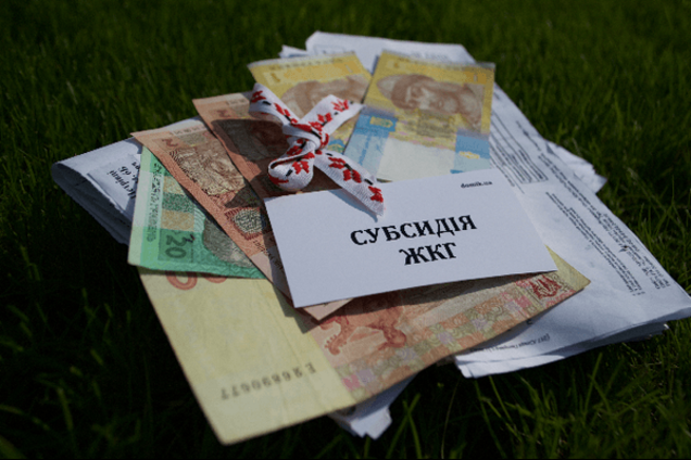В Украине в 10 раз вырастет размер субсидии