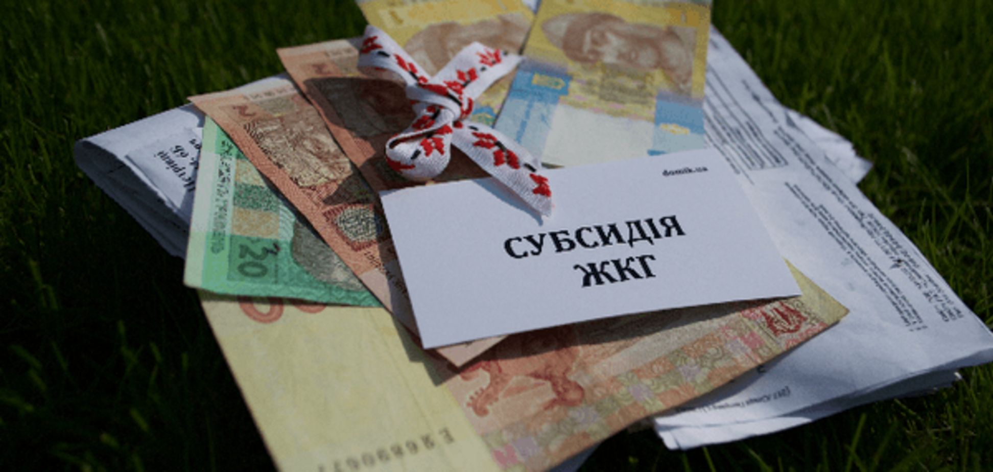В Украине в 10 раз вырастет размер субсидии