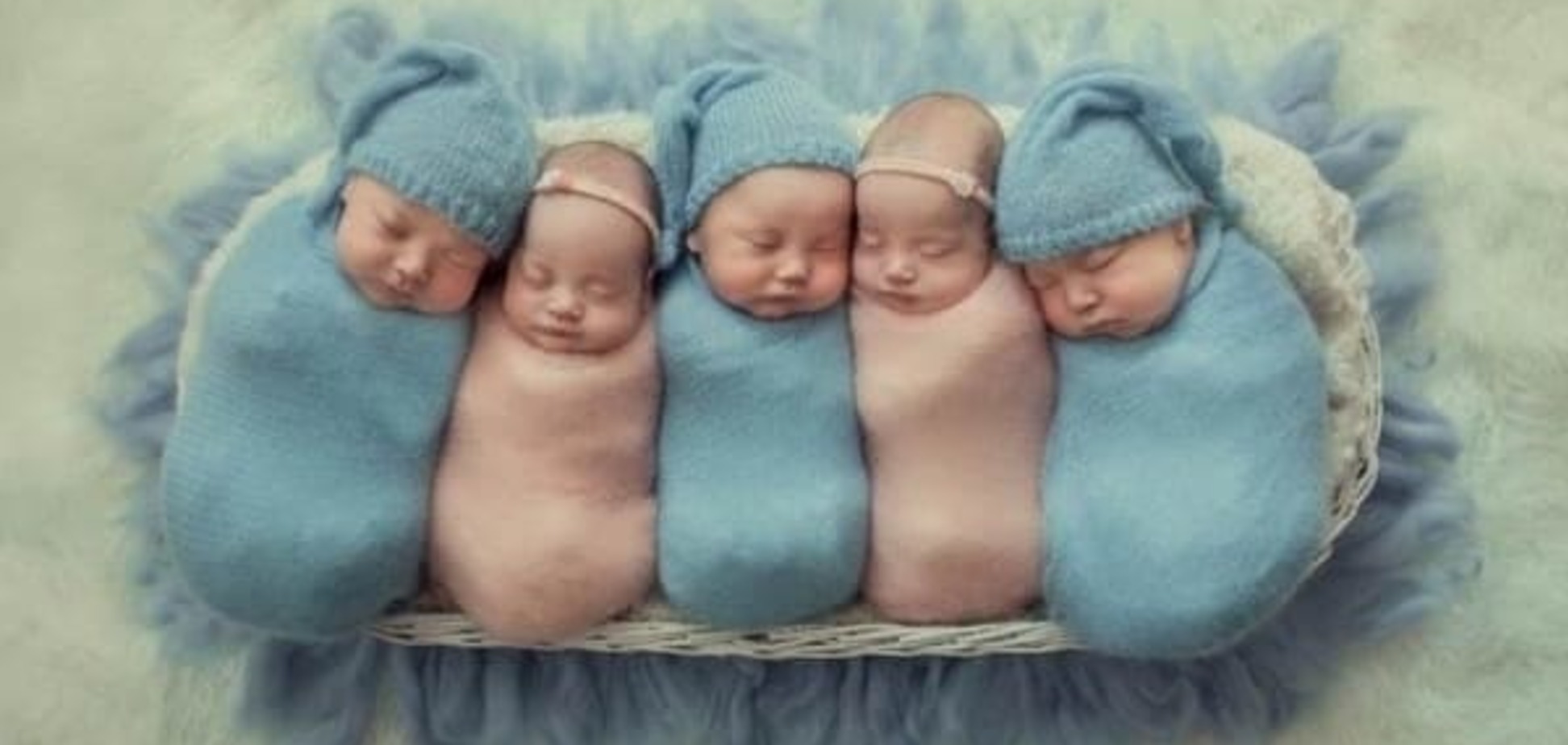 Одеські п'ятернята знялися у першій після народження фотосесії