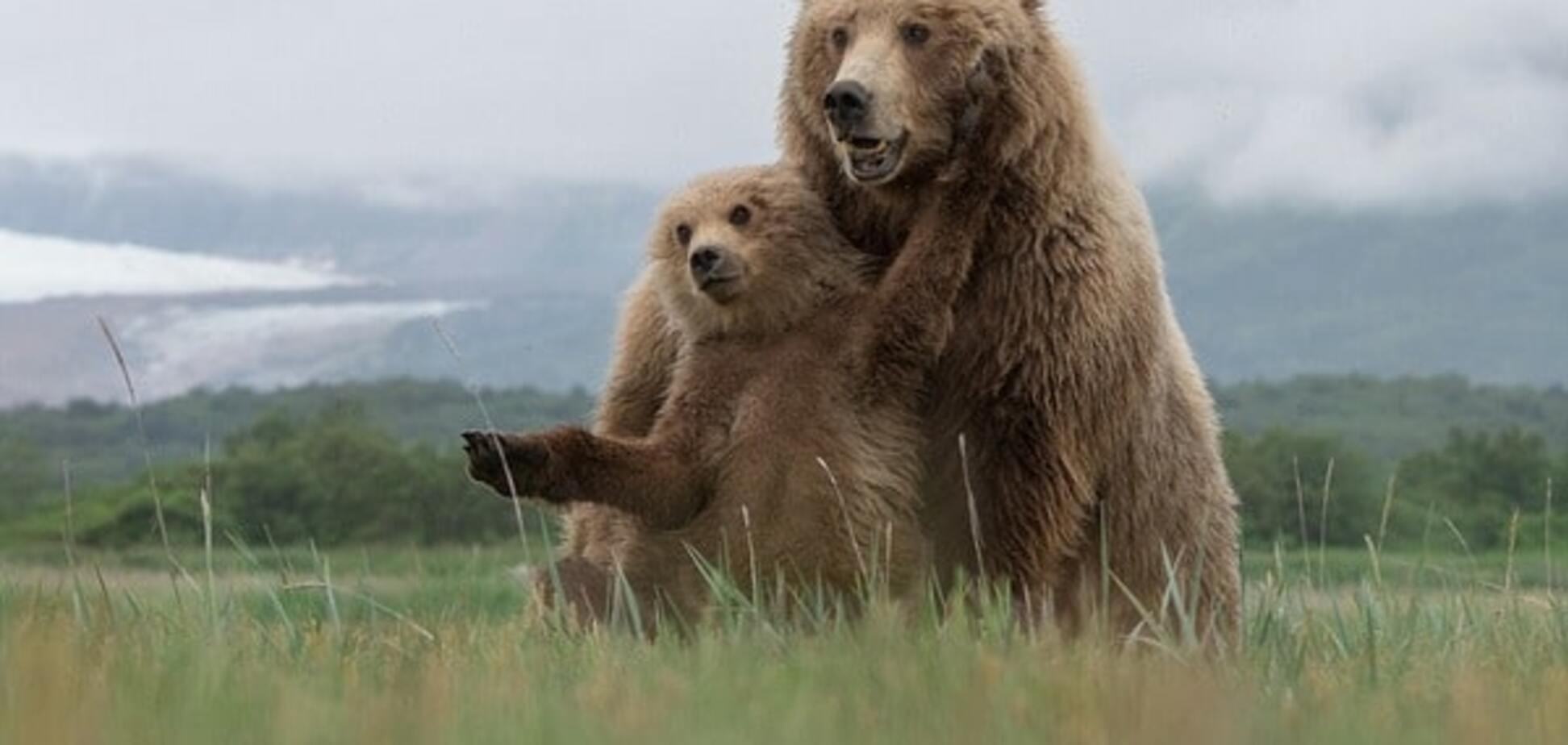 National Geographic опубликовал завораживающие снимки дикой природы