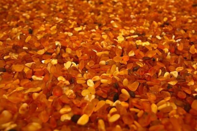 На Львовщине задержали экс-пограничника, который пытался вывезти в Польшу около 42 кг янтаря